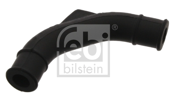 Hose, crankcase ventilation